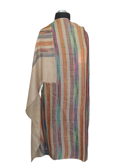 Women  Shawls Printed design Brown